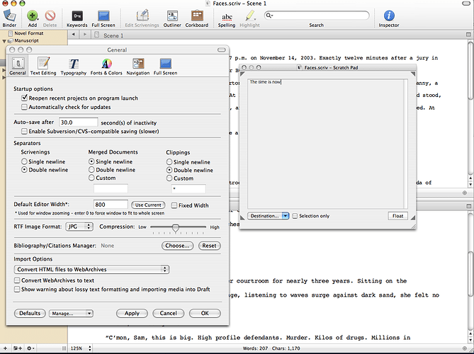 Pref panel with scratch pad open.png