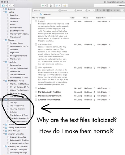 Scrivener_01.jpg