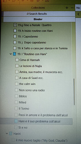 Immagine WhatsApp 2025-11-29 ore 18.04.36_a99b1169