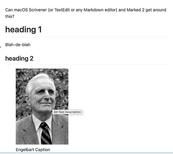 alt text with marked 2