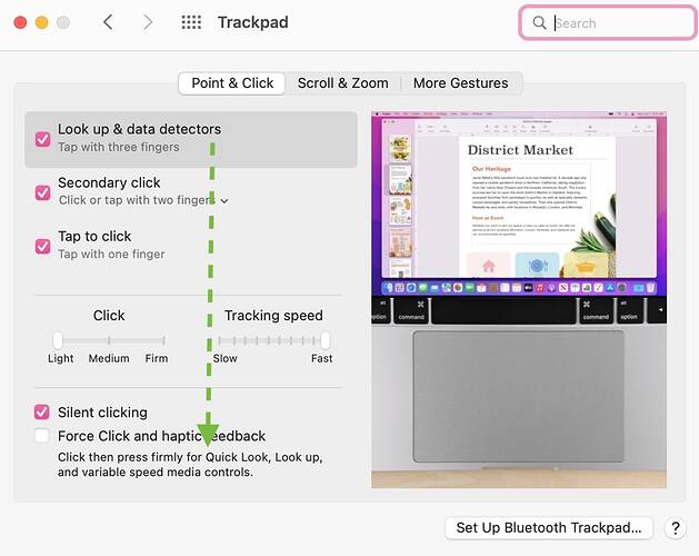 trackpad settings v2