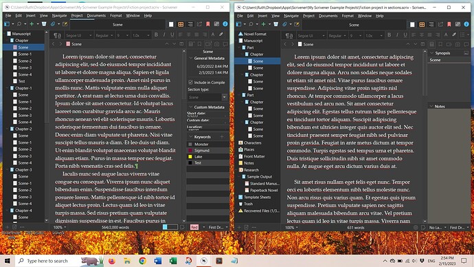 Two projects view