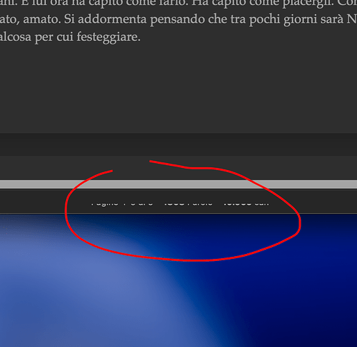 Screenshot 2025-11-06 alle 17.13.40