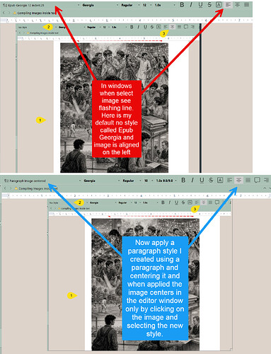 Image_paragraph style