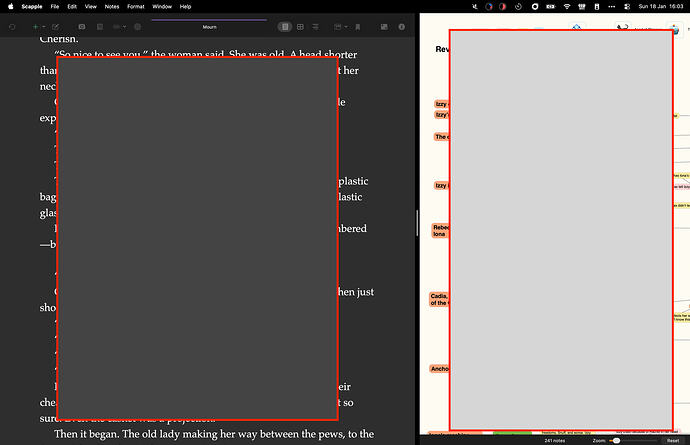 Screenshot 2026-01-18 at 16.03.09