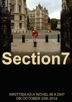 Section7_med