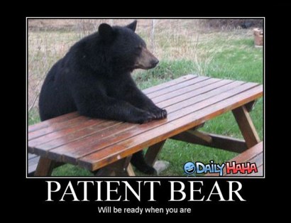patient_bear.jpg