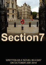 Section7_small