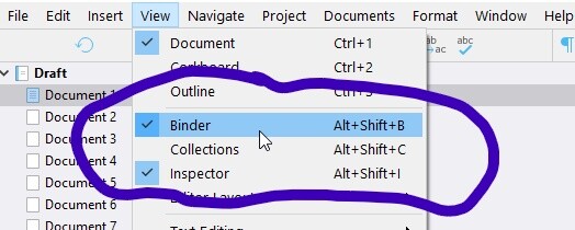 Inked2022-03-07 17_07_00-DUMMY Screenshot forum project - Scrivener_LI