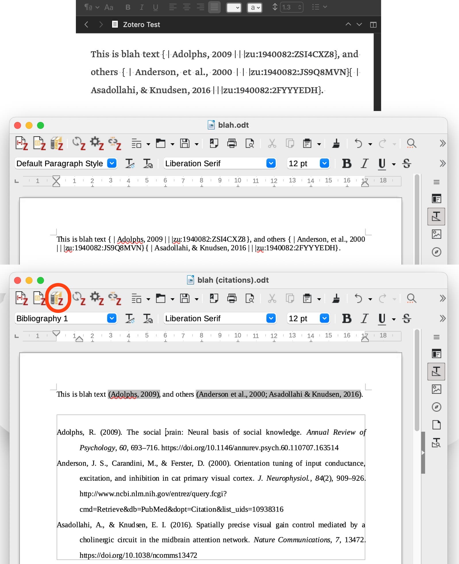 Scr + Zotero (Building Reference List?) Scrivener Literature